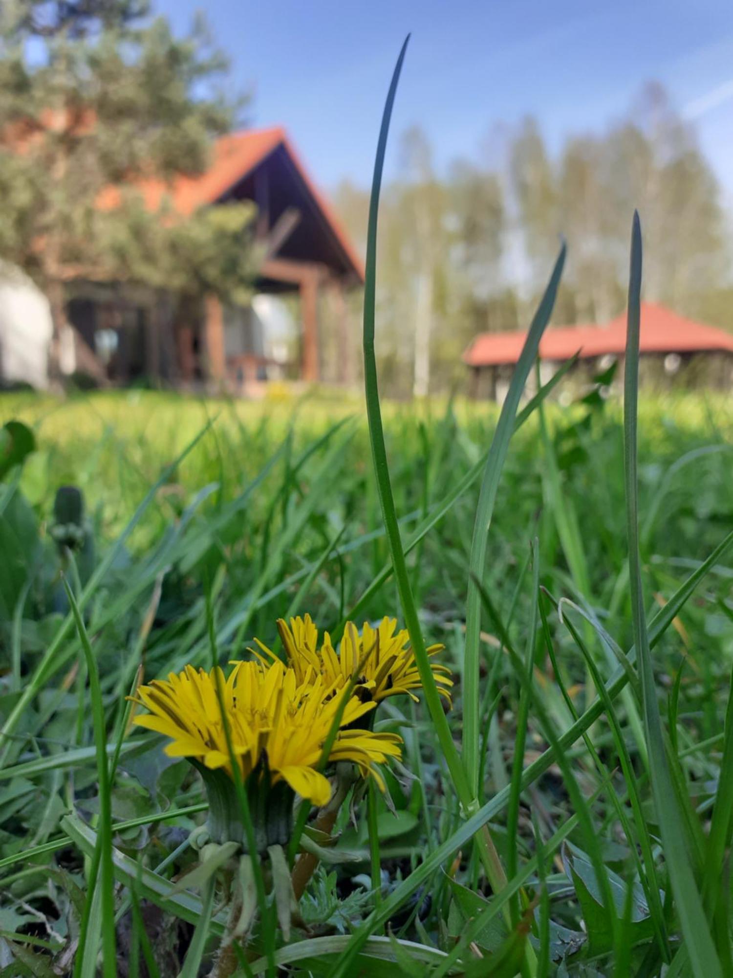 Przytulisko Stara Kiszewa Villa Exterior photo