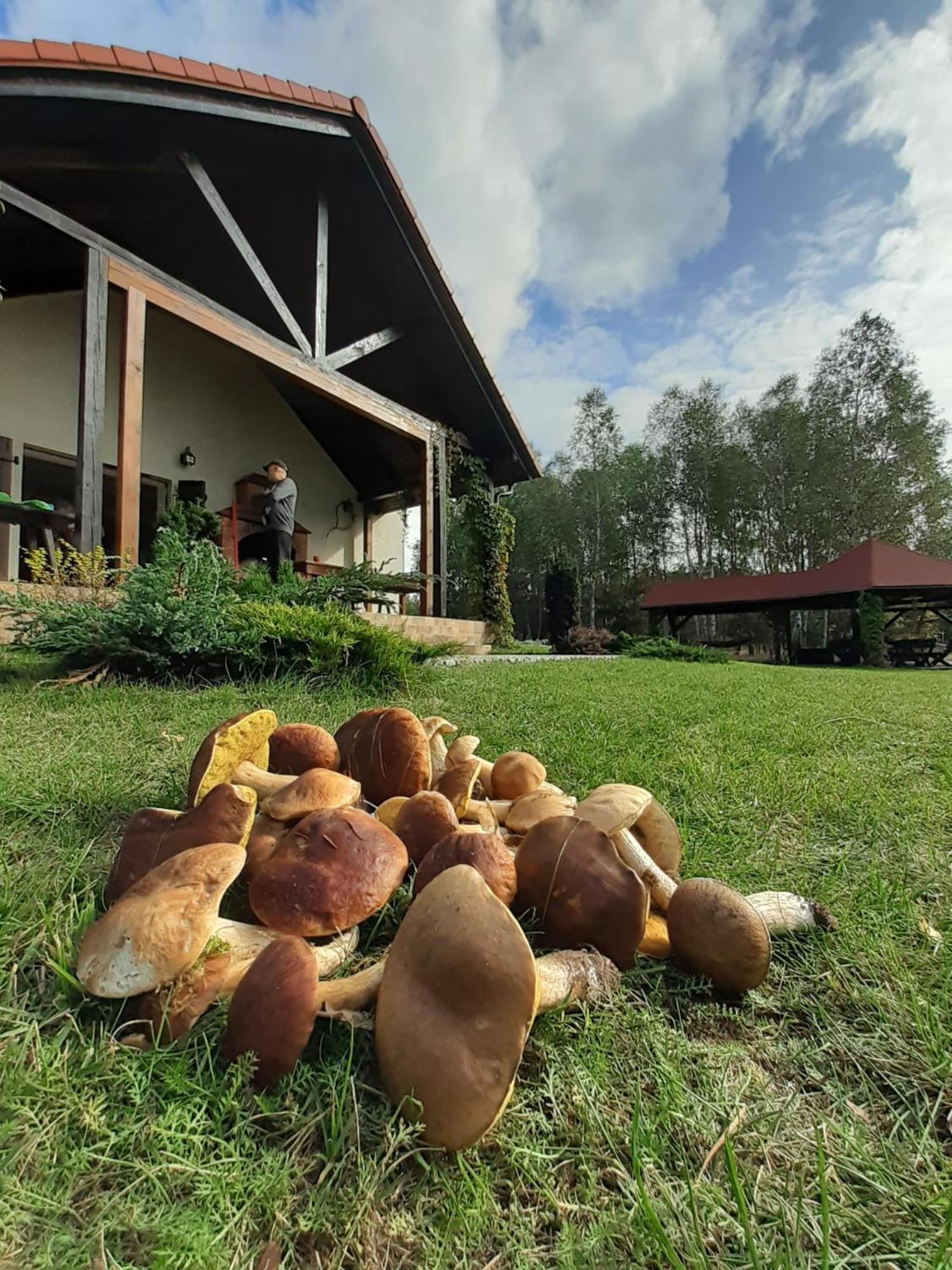 Przytulisko Stara Kiszewa Villa Exterior photo